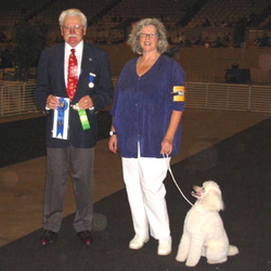 Zipper wins first place in Open B at the Golden Gate Kennel Club Trial, January 2007.