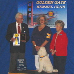 Zipper took High In Trial at the Golden Gate Kennel Club Trial in January 2007.